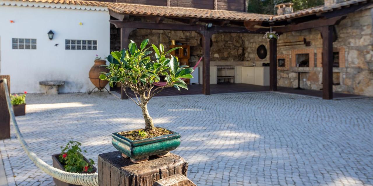 Quinta Dos Canteiros 파티마 외부 사진