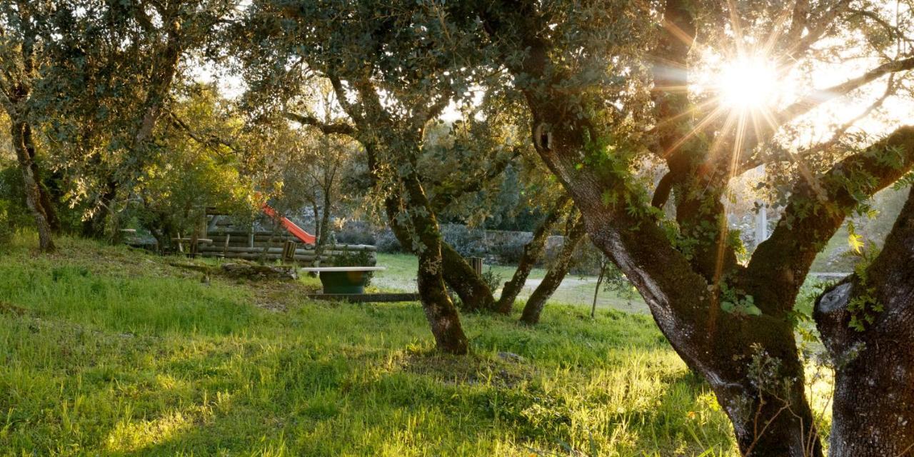 Quinta Dos Canteiros 파티마 외부 사진